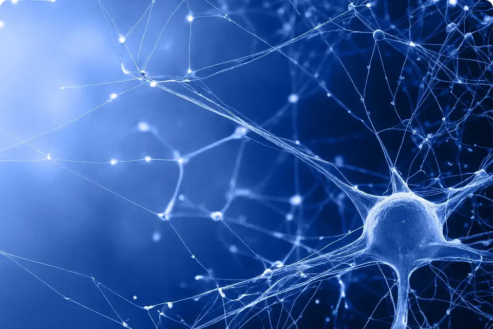 Graph Mining and NLP